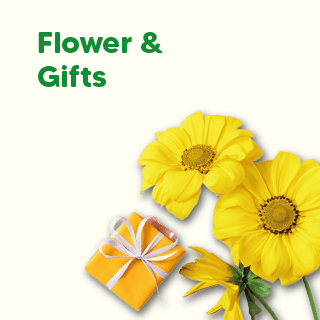 Flower & Gifts